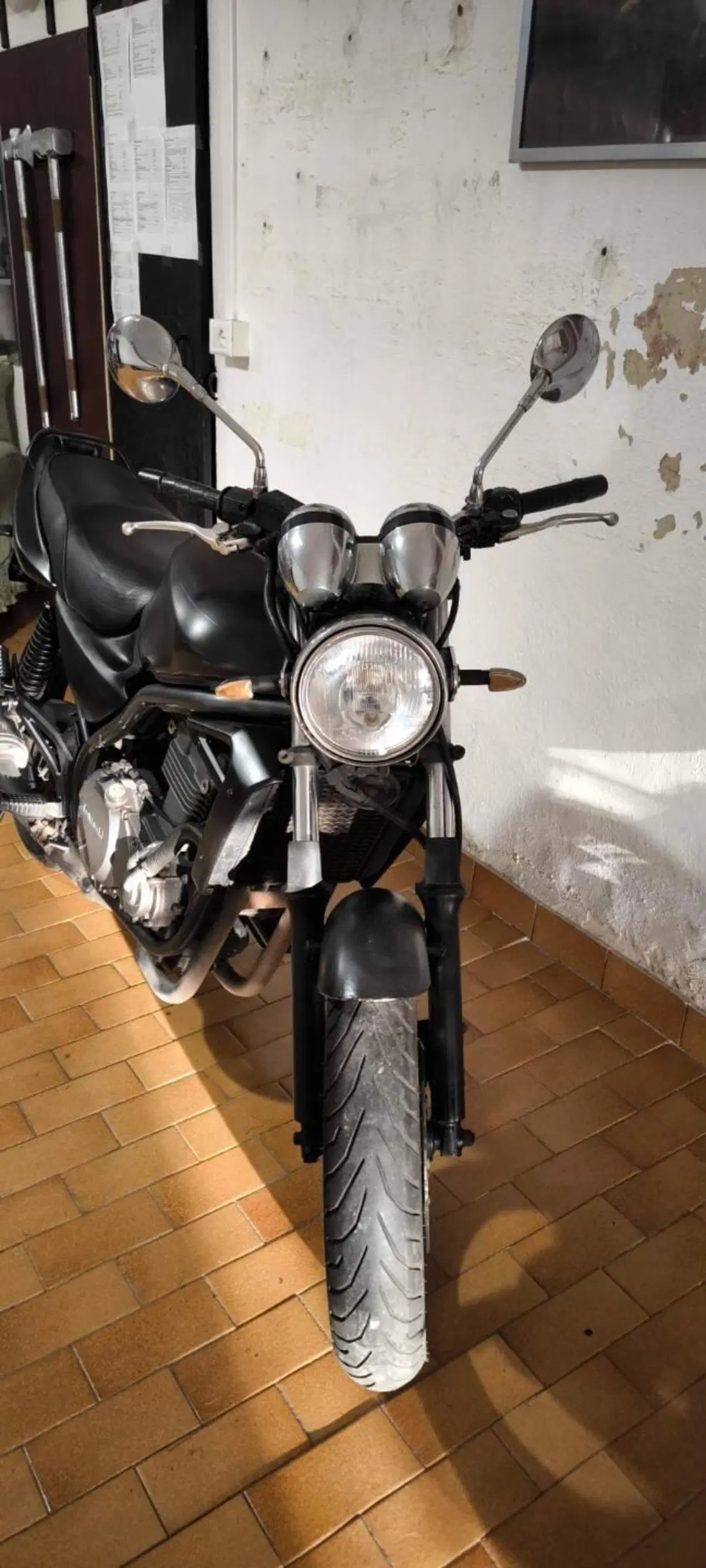 Kawasaki ER-5 500 (2001 - 06) (2)