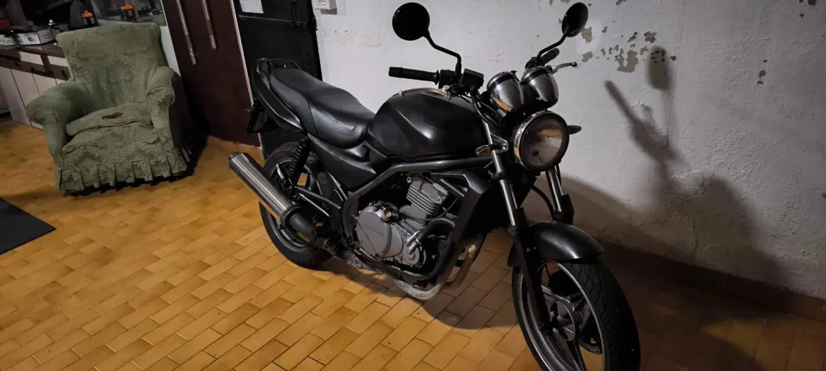 Kawasaki ER-5 500 (2001 - 06) (4)