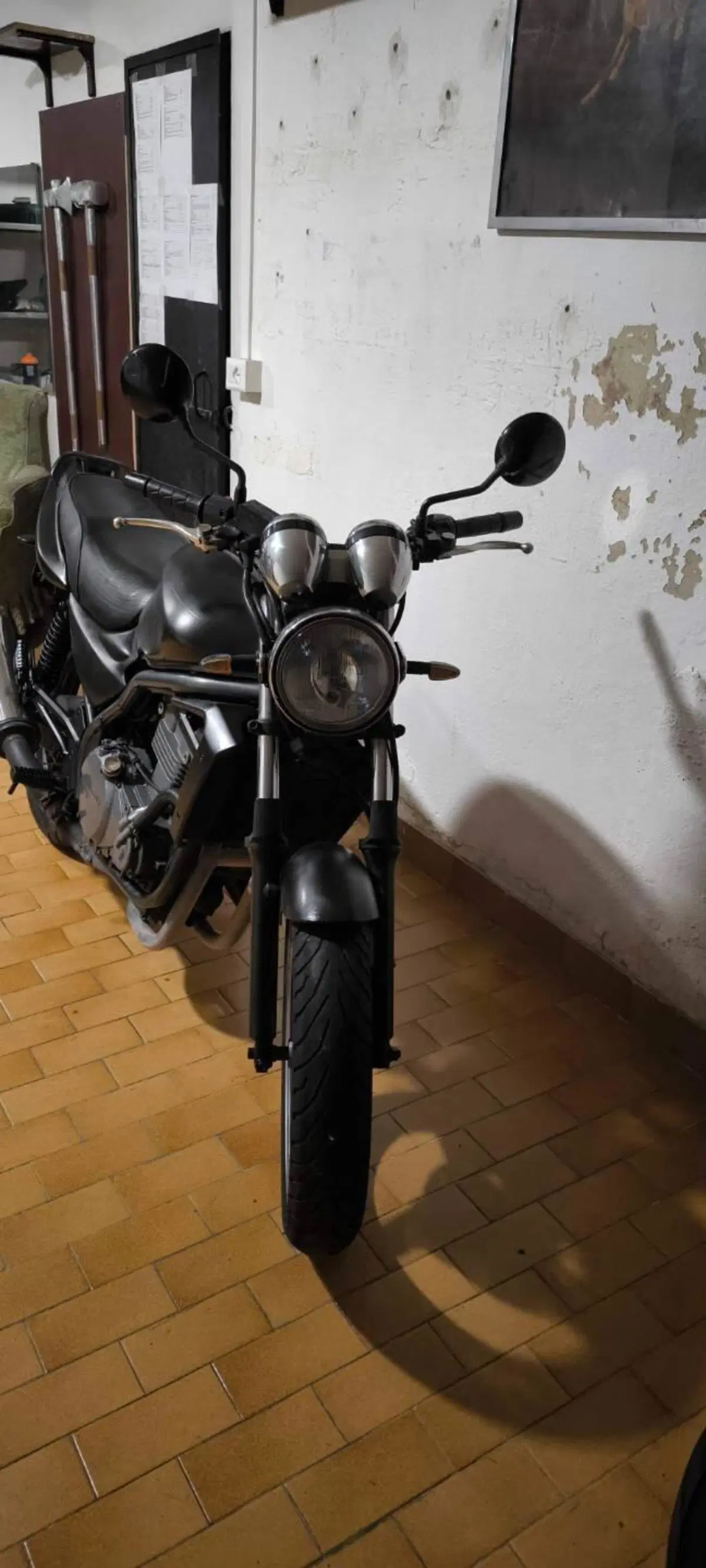 Kawasaki ER-5 500 (2001 - 06) (5)