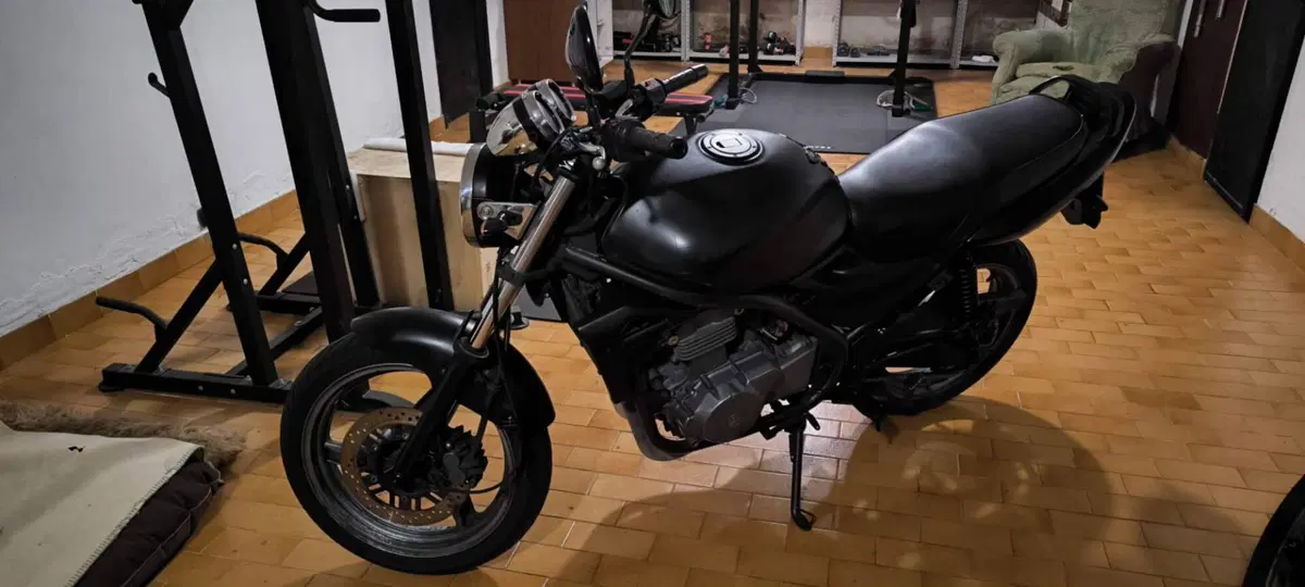 Kawasaki ER-5 500 (2001 - 06) (6)