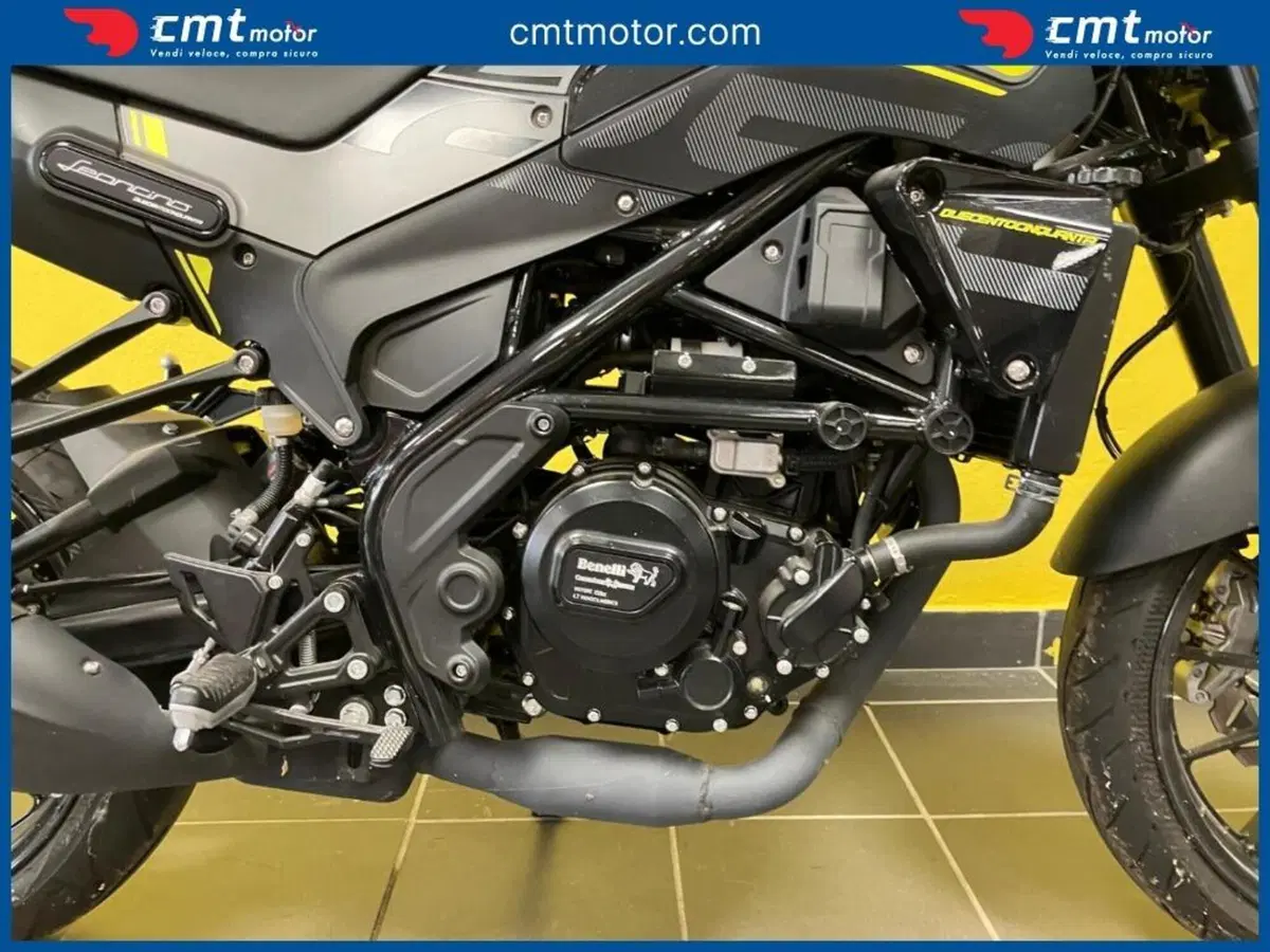 Benelli Leoncino 250 (2021 - 25) (7)