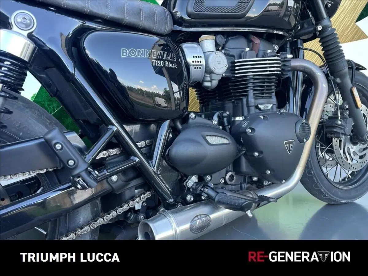 Triumph Bonneville T120 (2016 - 20) (7)
