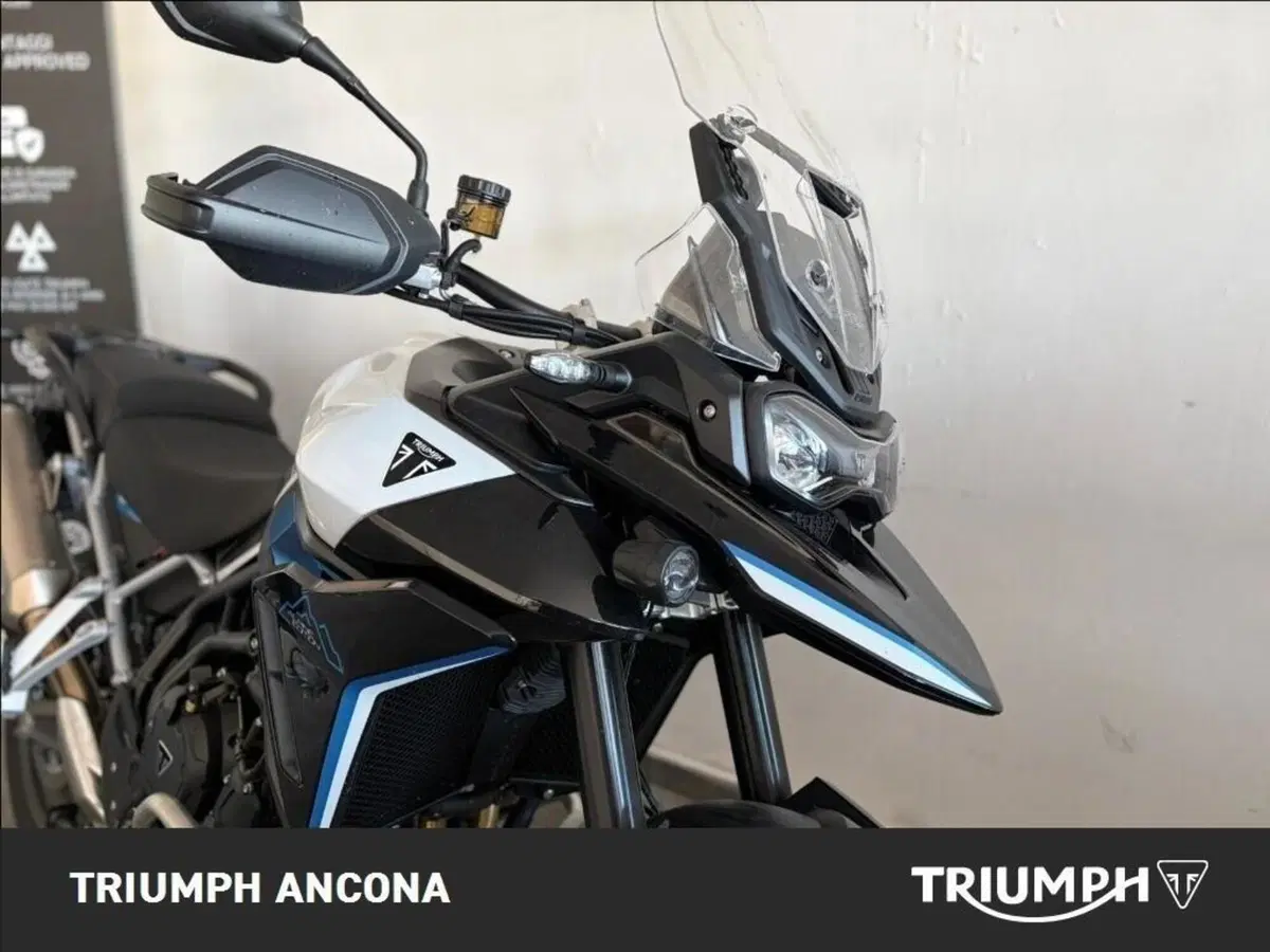 Triumph Tiger 900 Alpine Special Edition (2026) (3)