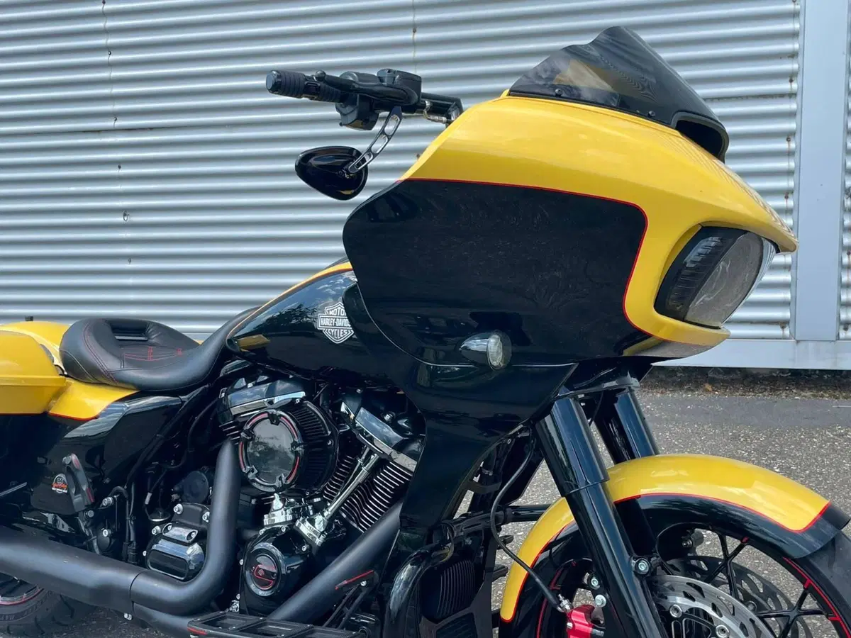Harley-Davidson Road Glide Special (2021 - 23) (5)