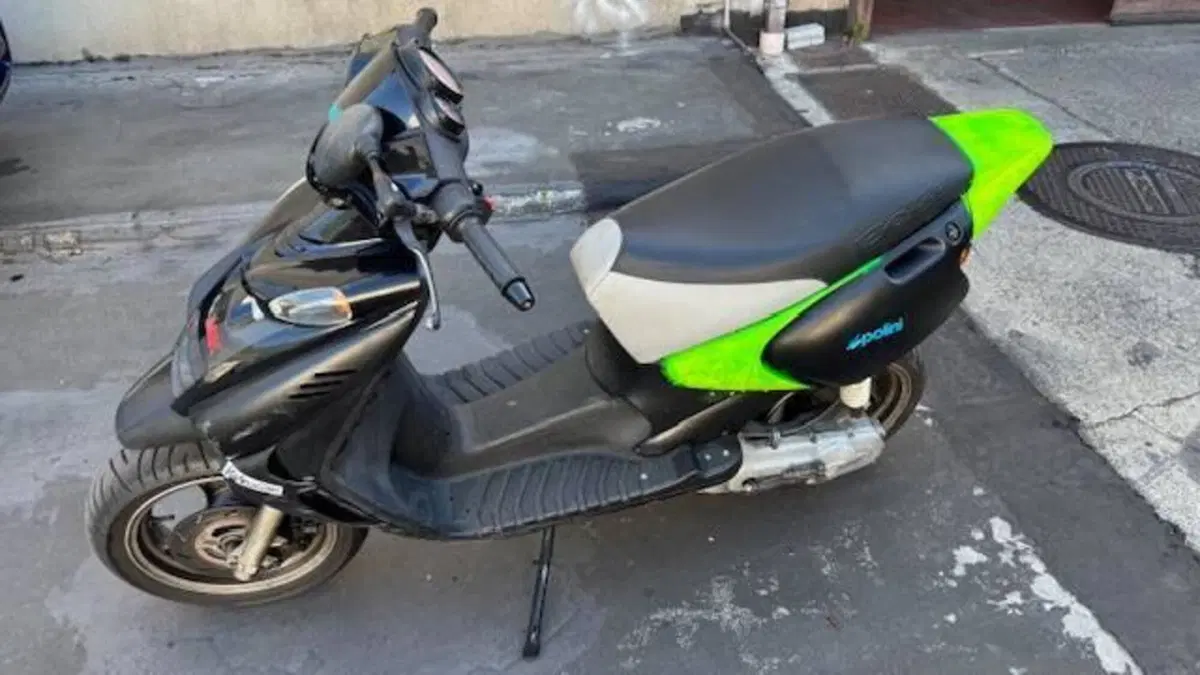 Betamotor Ark 50 air cooled Cat (2000 - 05)