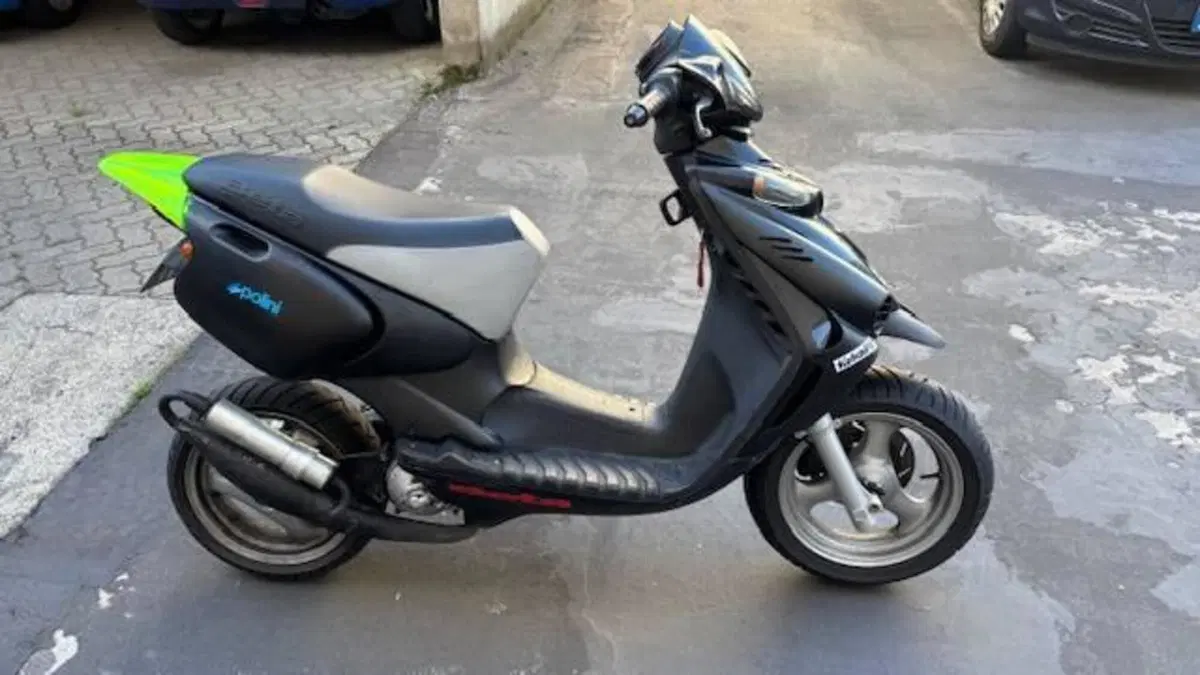 Betamotor Ark 50 air cooled Cat (2000 - 05) (2)