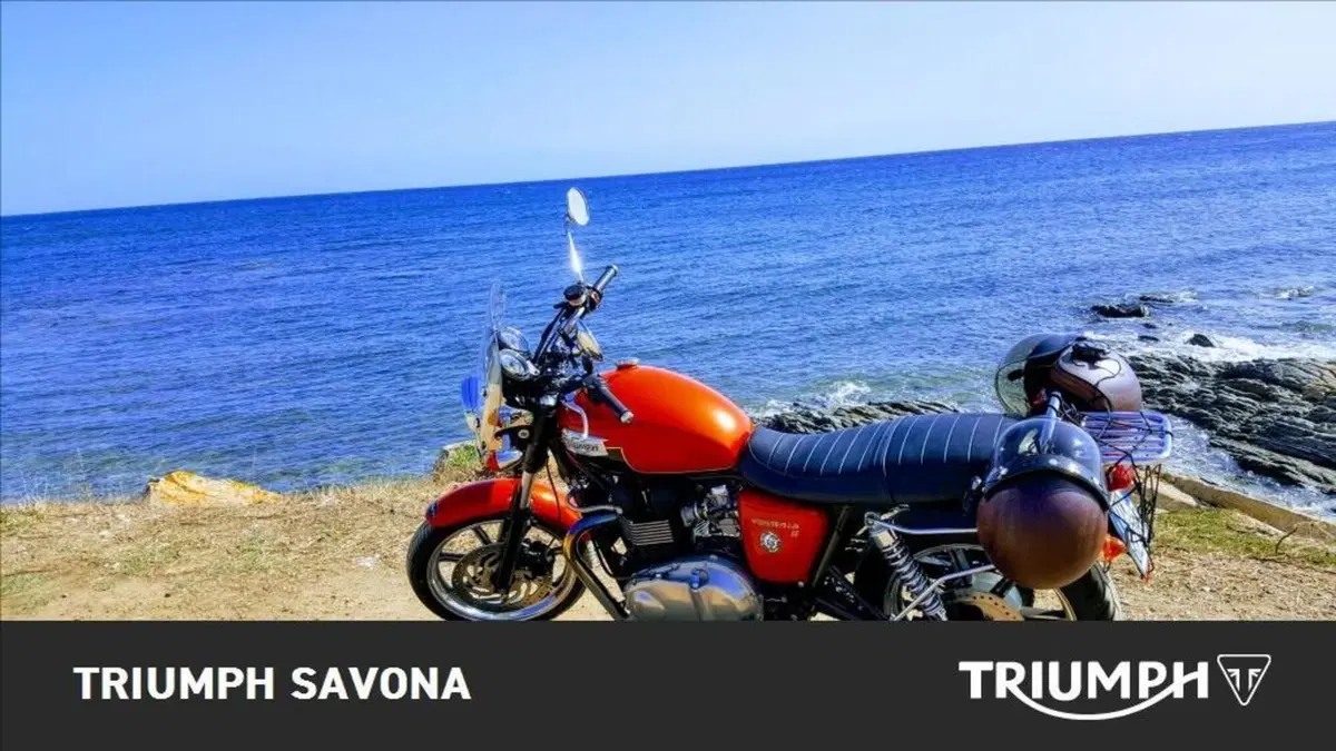 Triumph Bonneville SE (2009 - 13) (3)