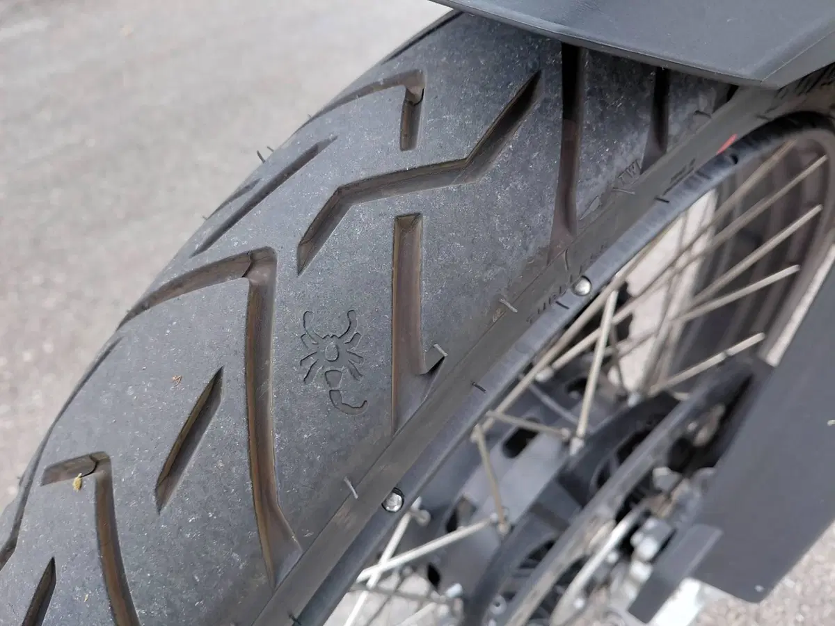 Bmw F 850 GS (2018 - 20) (7)