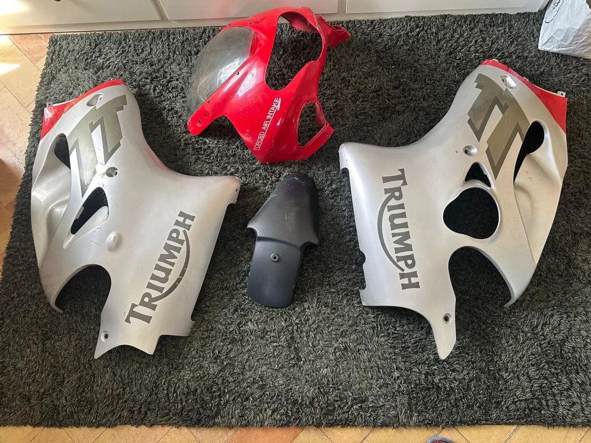 Triumph TT 600 (2000 - 01) (8)