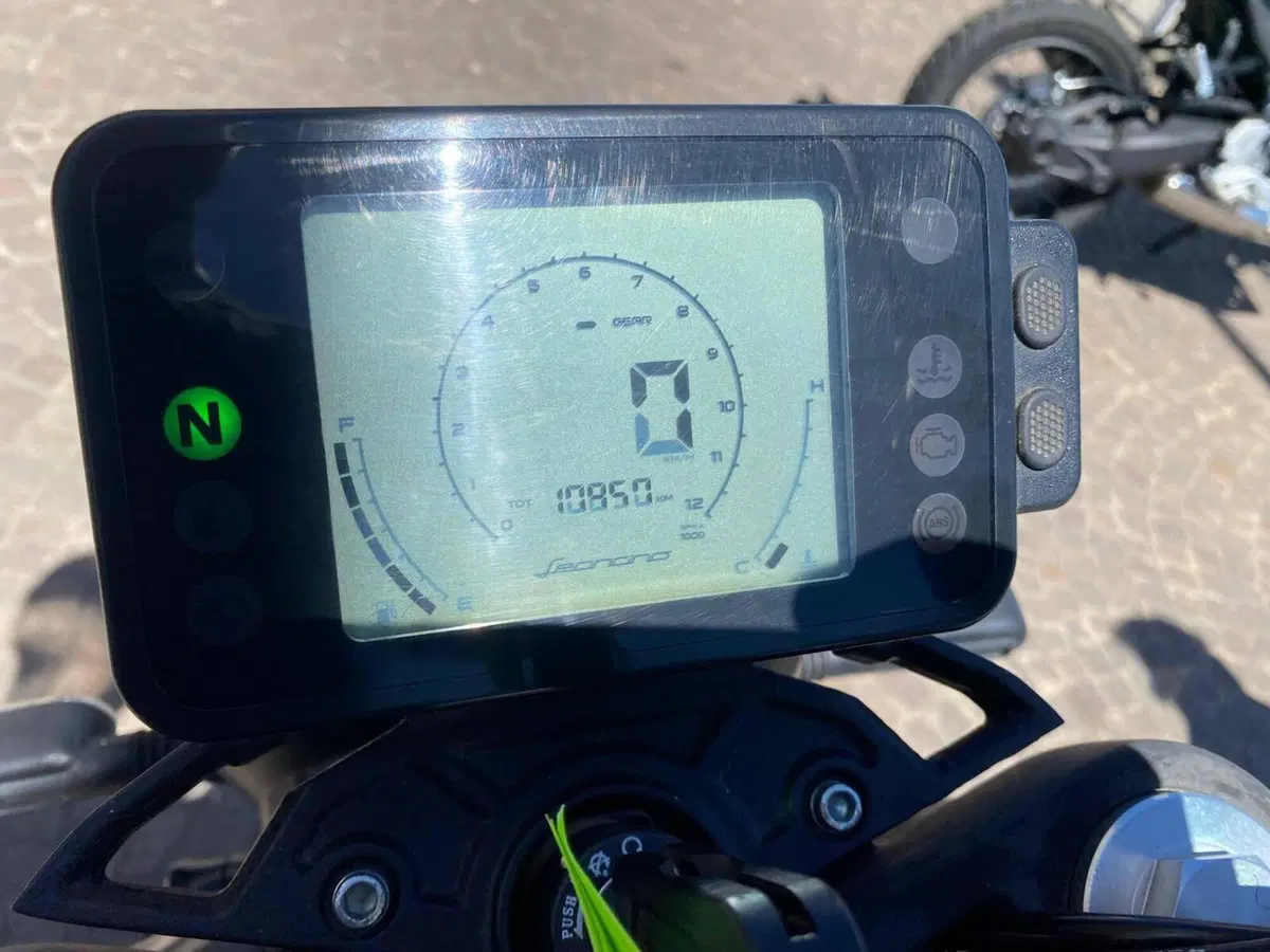 Benelli Leoncino 250 (2021 - 25) (3)
