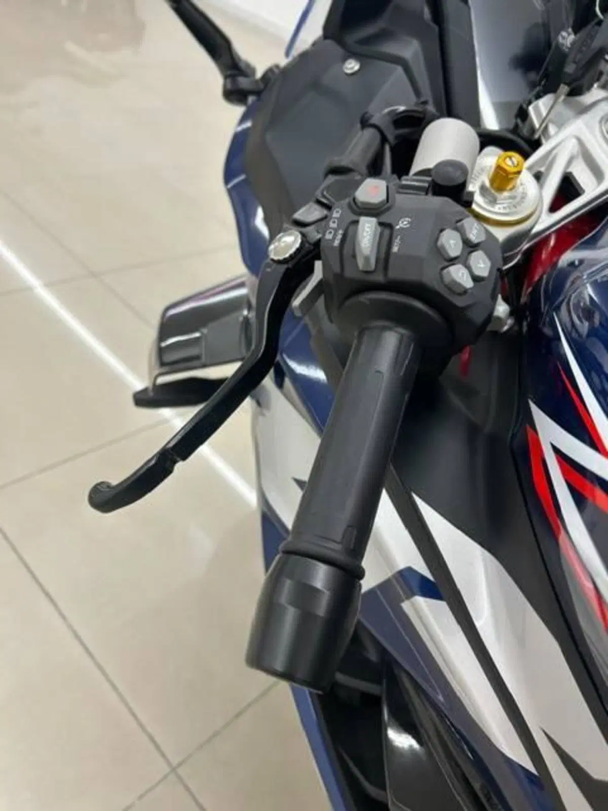 TVS Motor RR 310 BTO Race Replica (2024 - 26) (10)