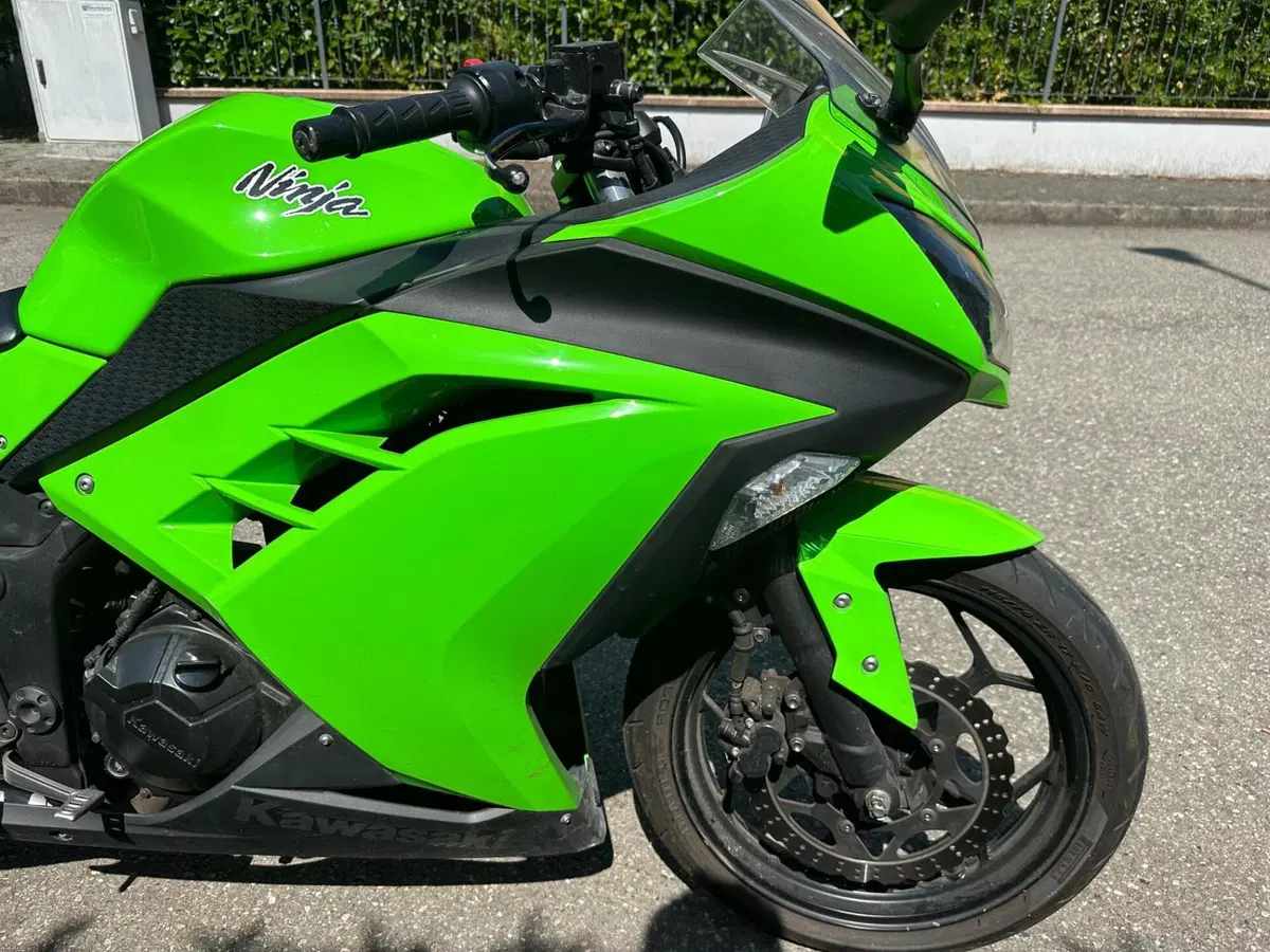 Kawasaki Ninja 300 (2012 - 14)
