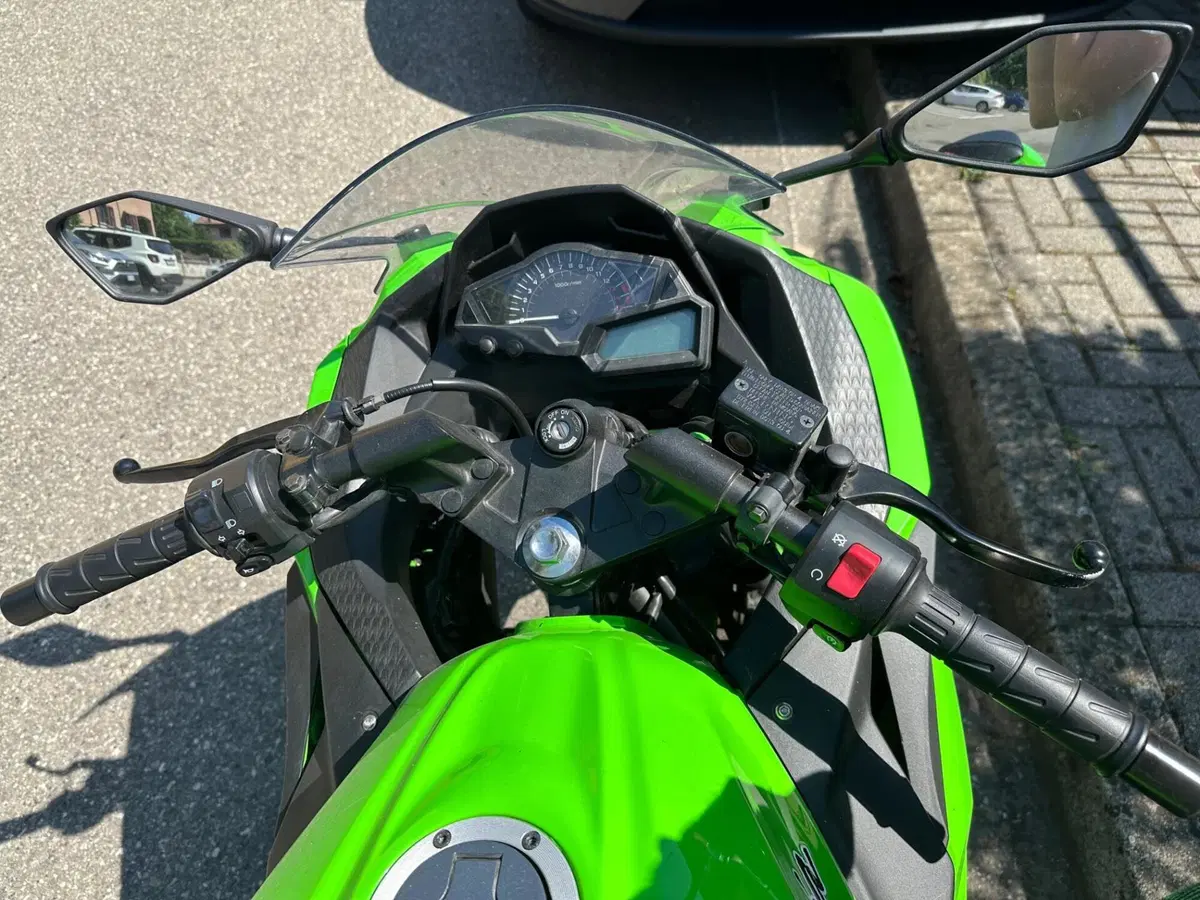 Kawasaki Ninja 300 (2012 - 14) (2)