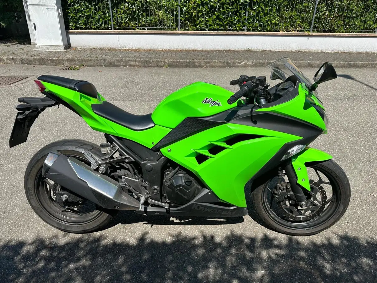 Kawasaki Ninja 300 (2012 - 14) (3)