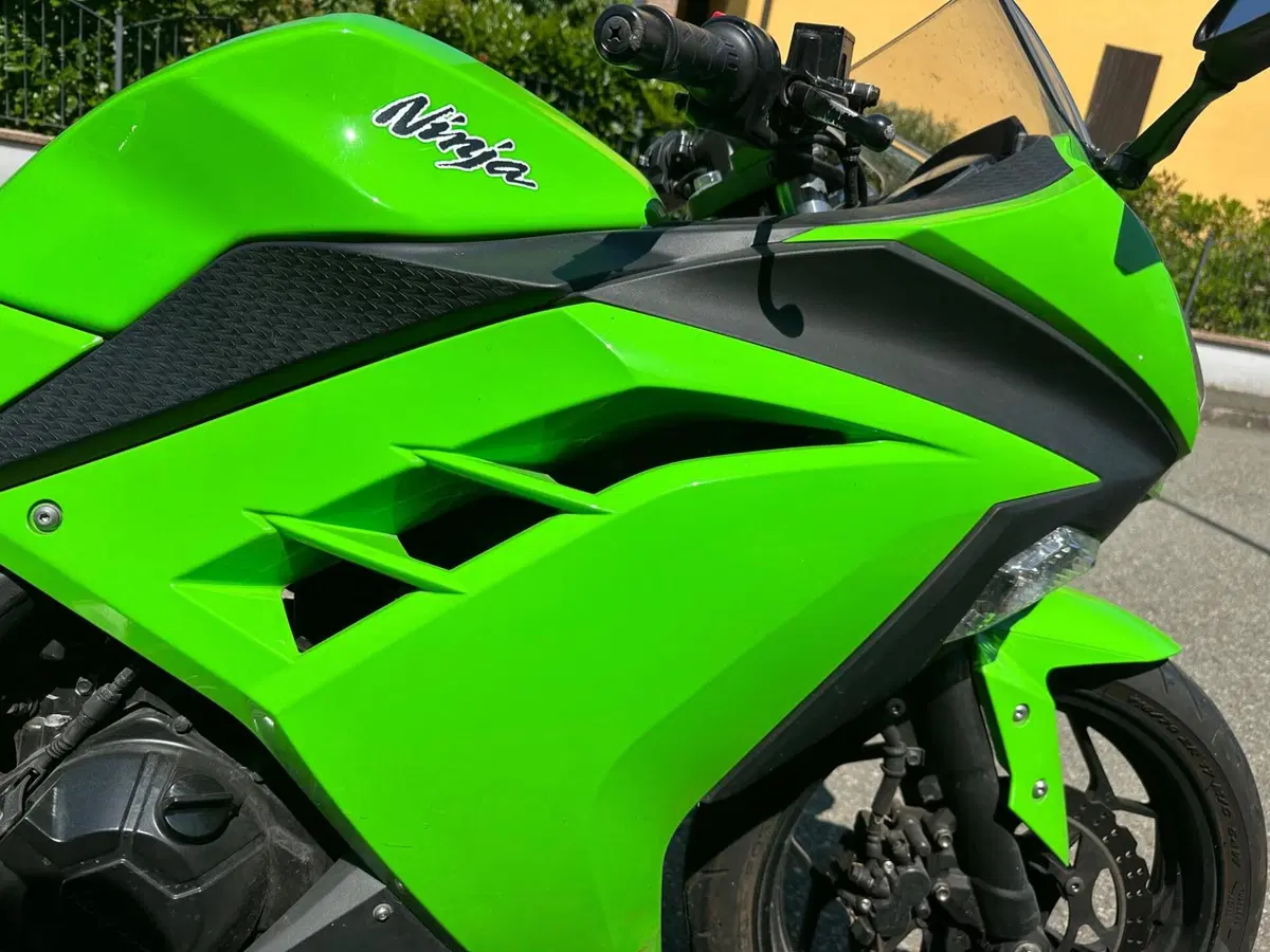 Kawasaki Ninja 300 (2012 - 14) (4)