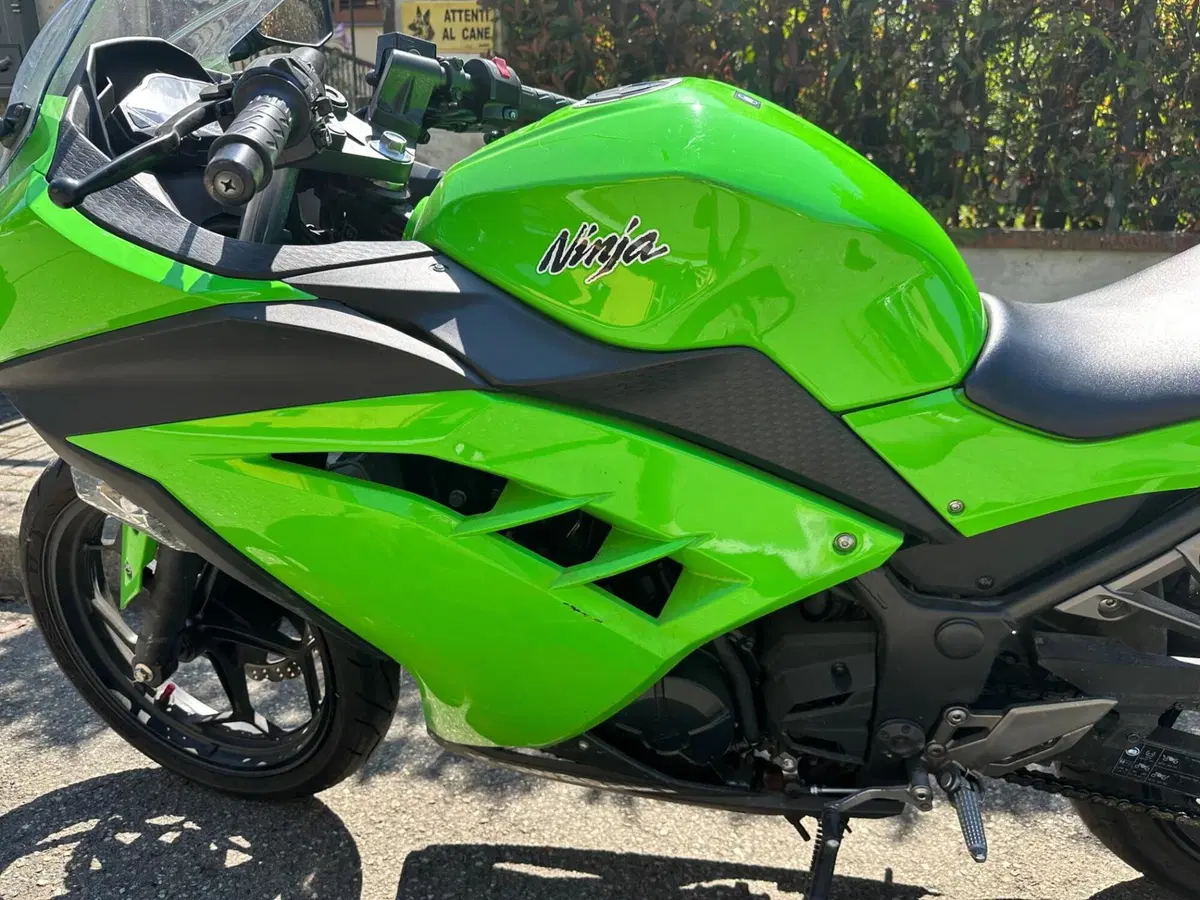 Kawasaki Ninja 300 (2012 - 14) (6)