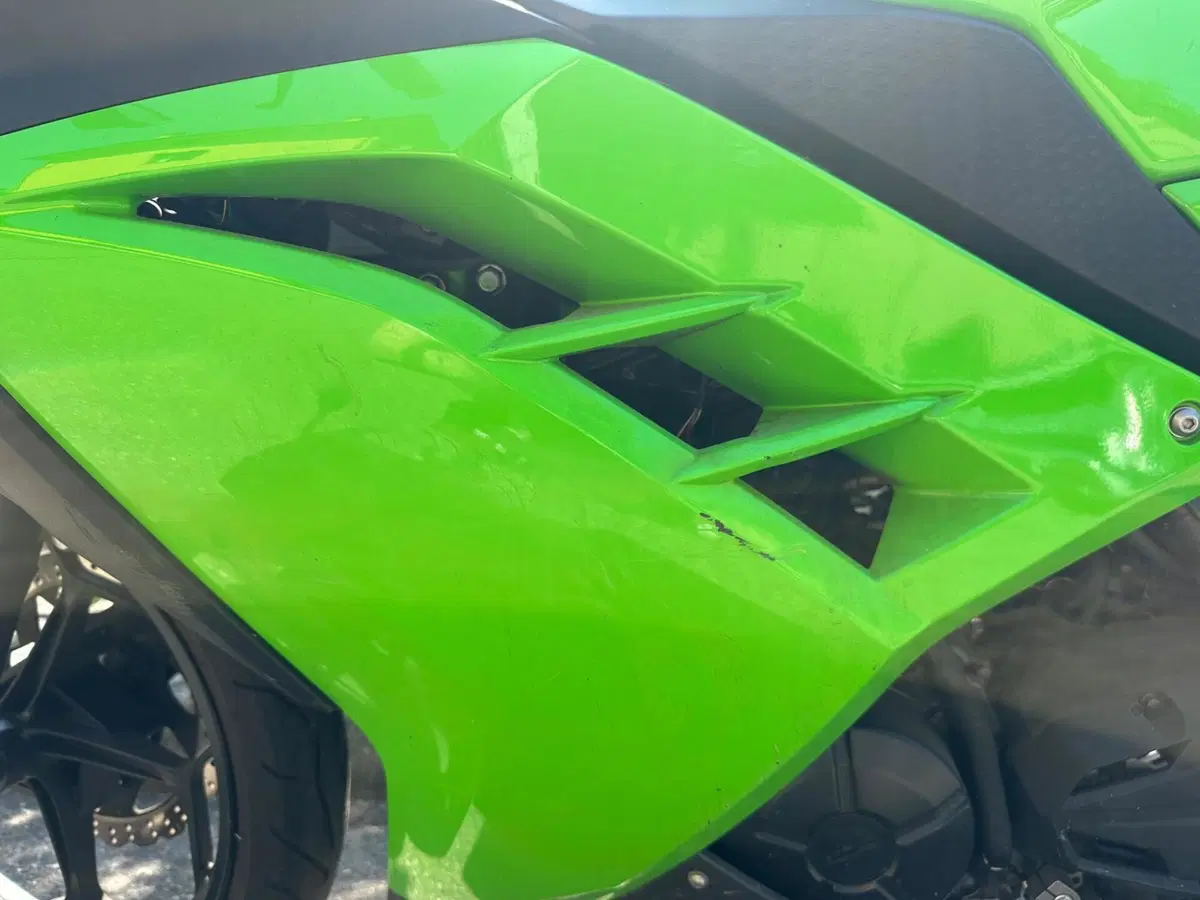 Kawasaki Ninja 300 (2012 - 14) (7)