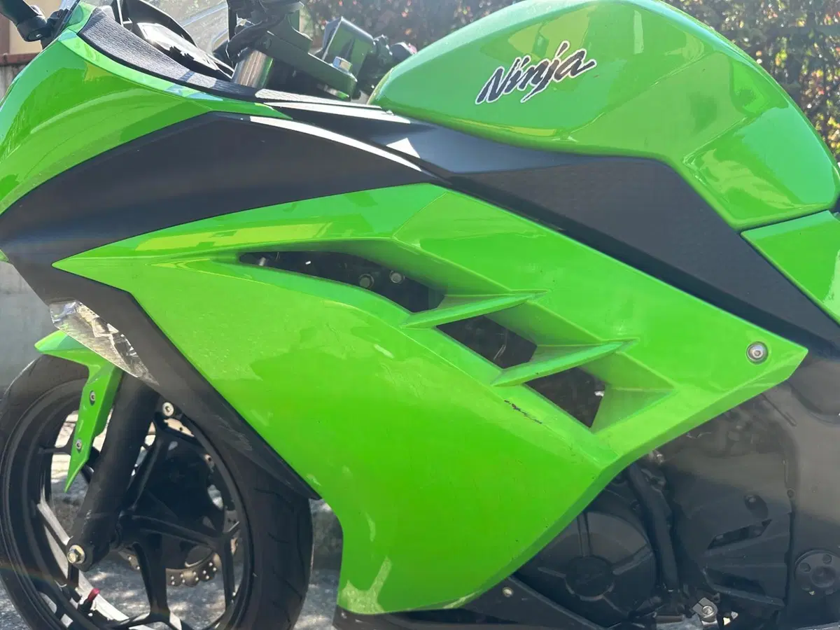 Kawasaki Ninja 300 (2012 - 14) (8)