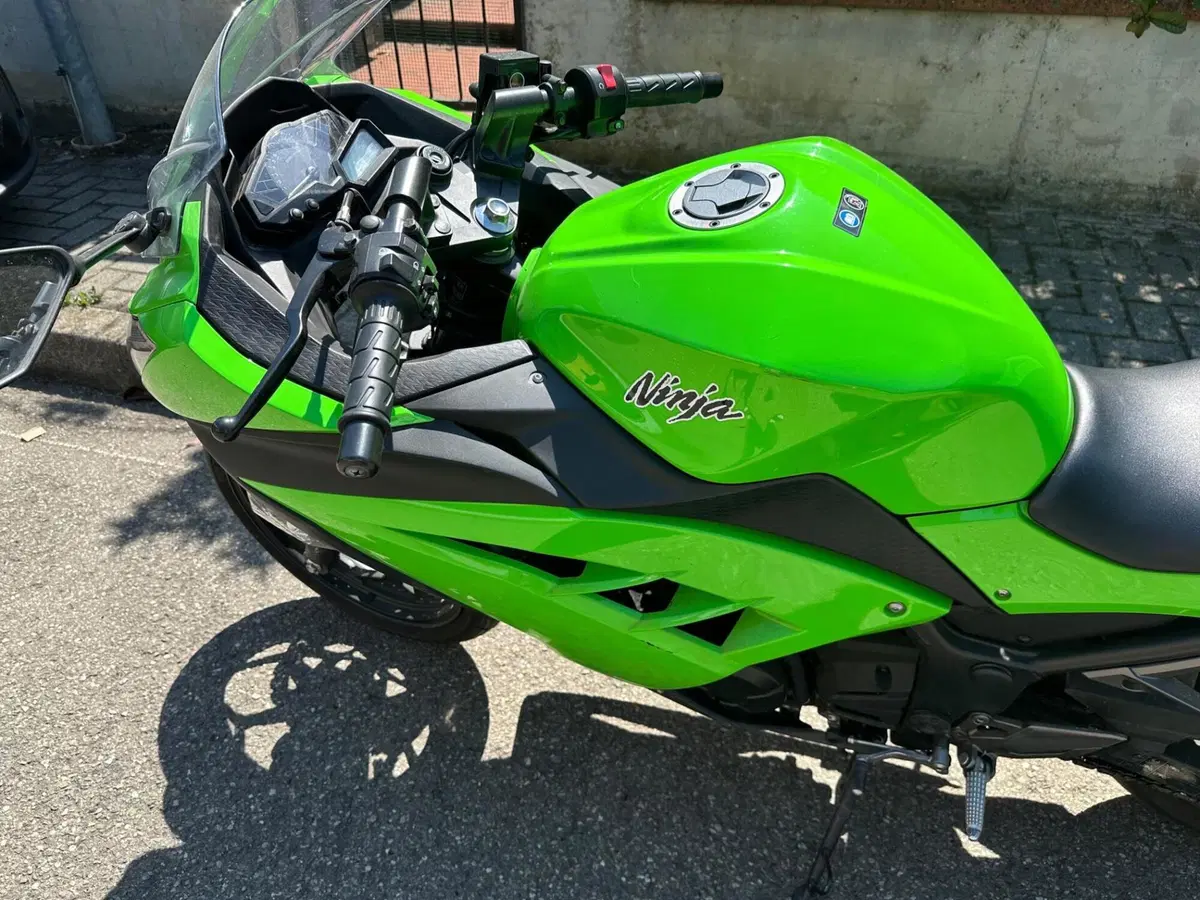 Kawasaki Ninja 300 (2012 - 14) (9)