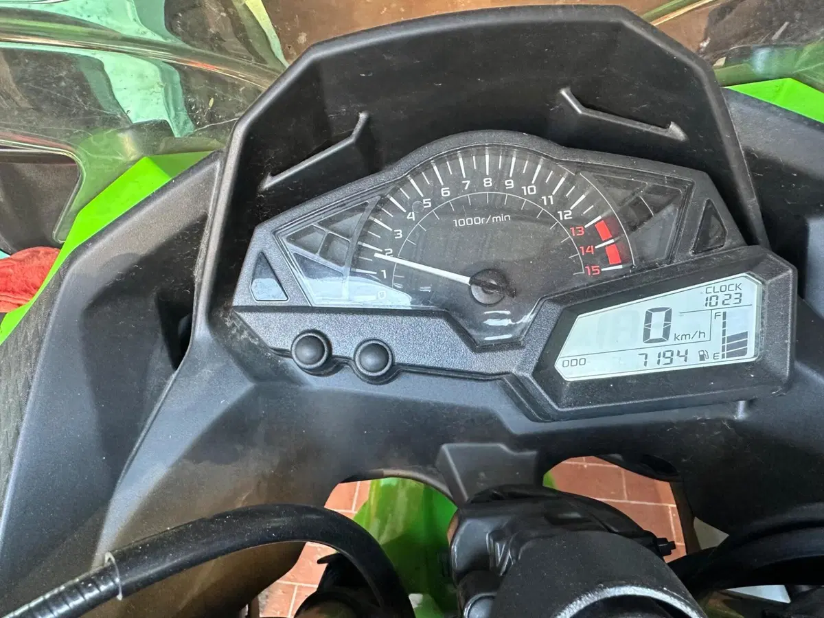 Kawasaki Ninja 300 (2012 - 14) (10)