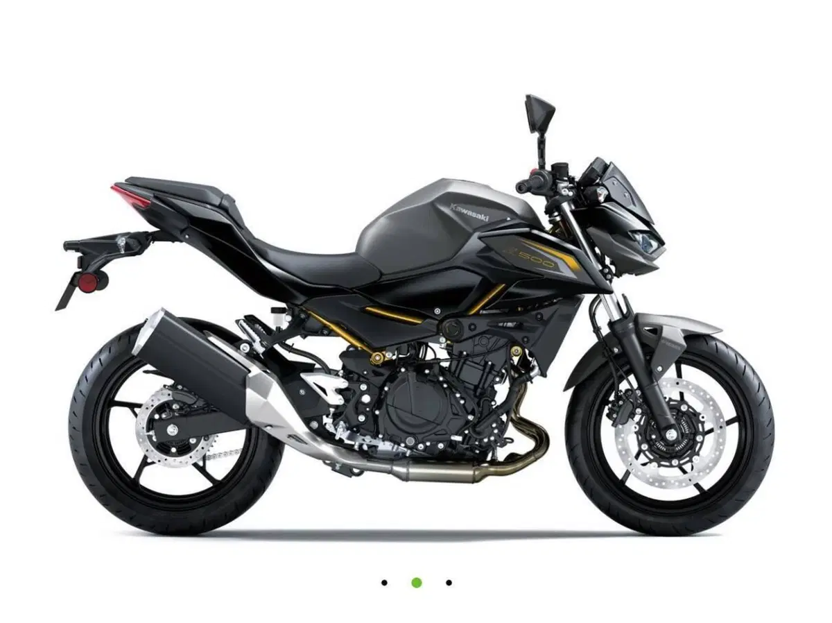 Kawasaki Z 500 (2024 - 26) (2)