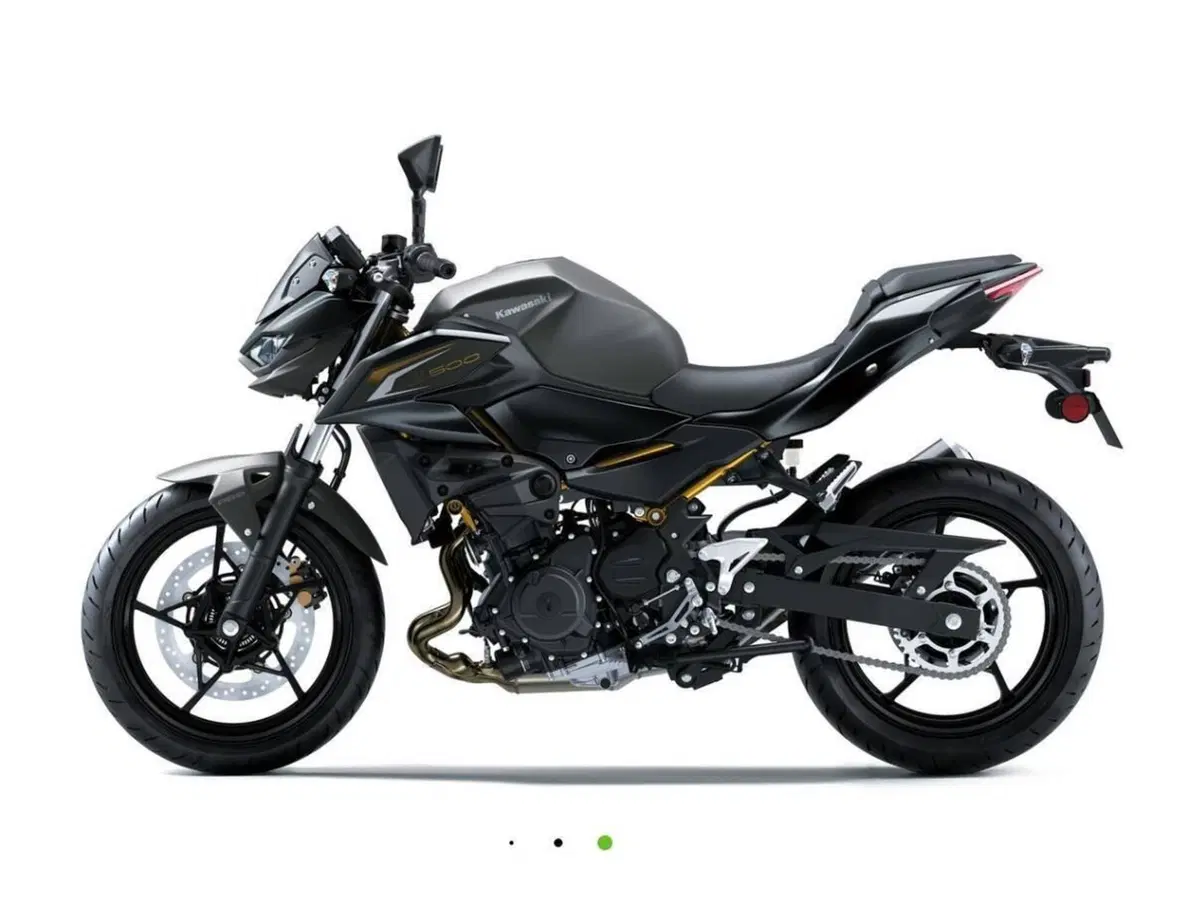 Kawasaki Z 500 (2024 - 26) (3)