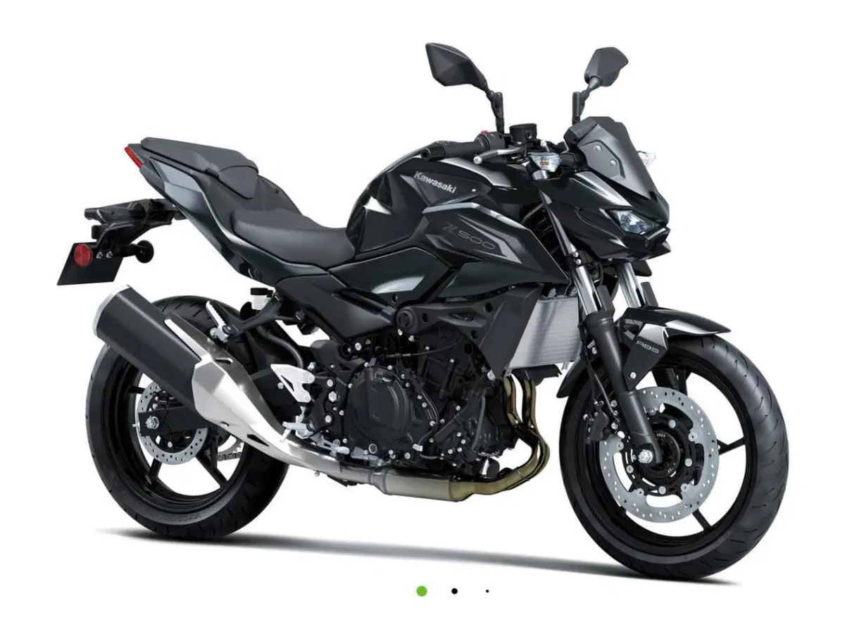 Kawasaki Z 500 (2024 - 26) (7)