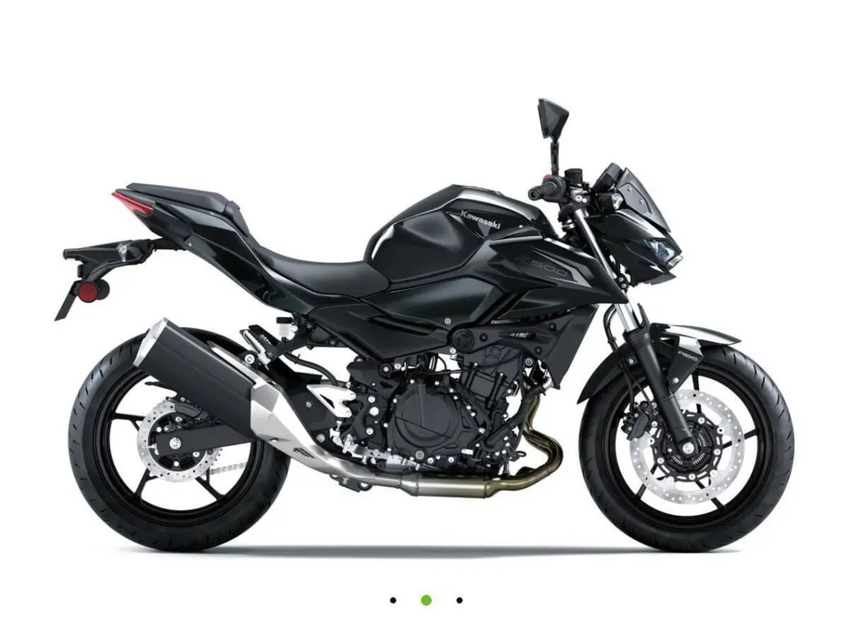 Kawasaki Z 500 (2024 - 26) (8)