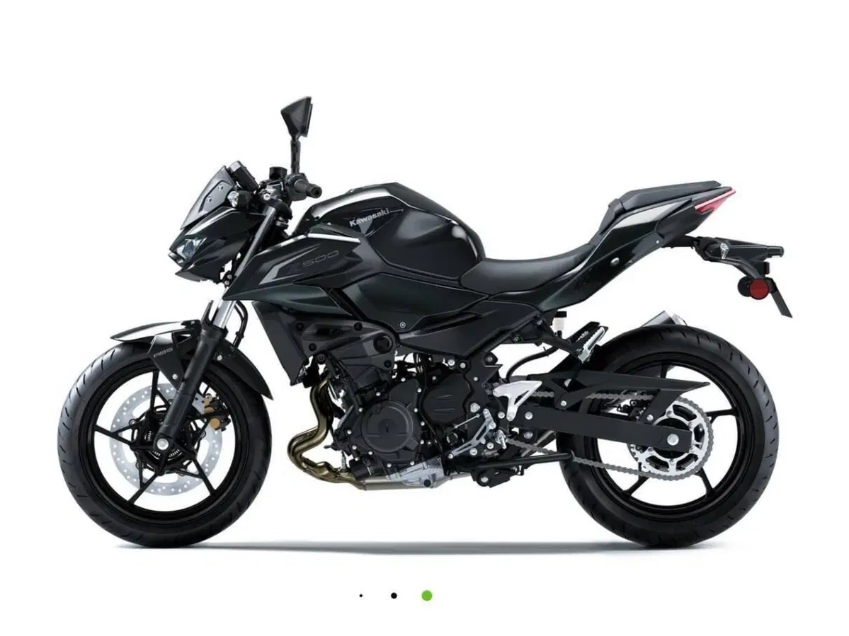 Kawasaki Z 500 (2024 - 26) (9)
