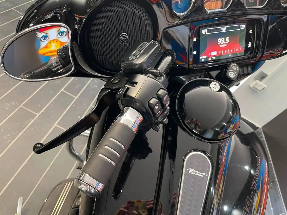 Harley-Davidson 114 Street Glide Special (2019 - 20) - FLHXS (13)