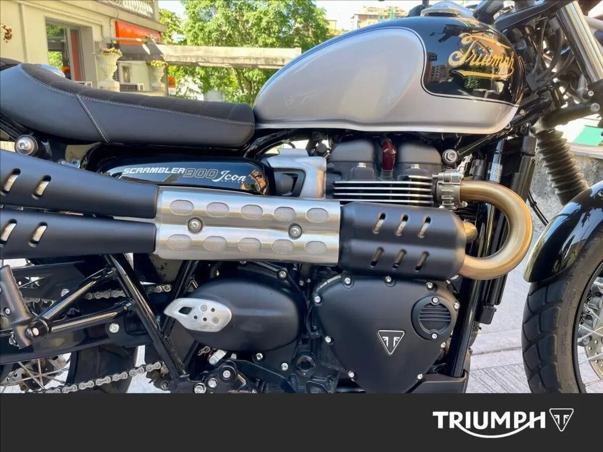 Triumph Scrambler 900 Icon Edition (2025 - 26) (7)