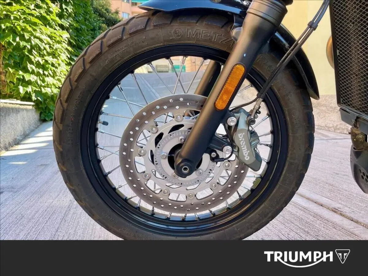 Triumph Scrambler 900 Icon Edition (2025 - 26) (12)