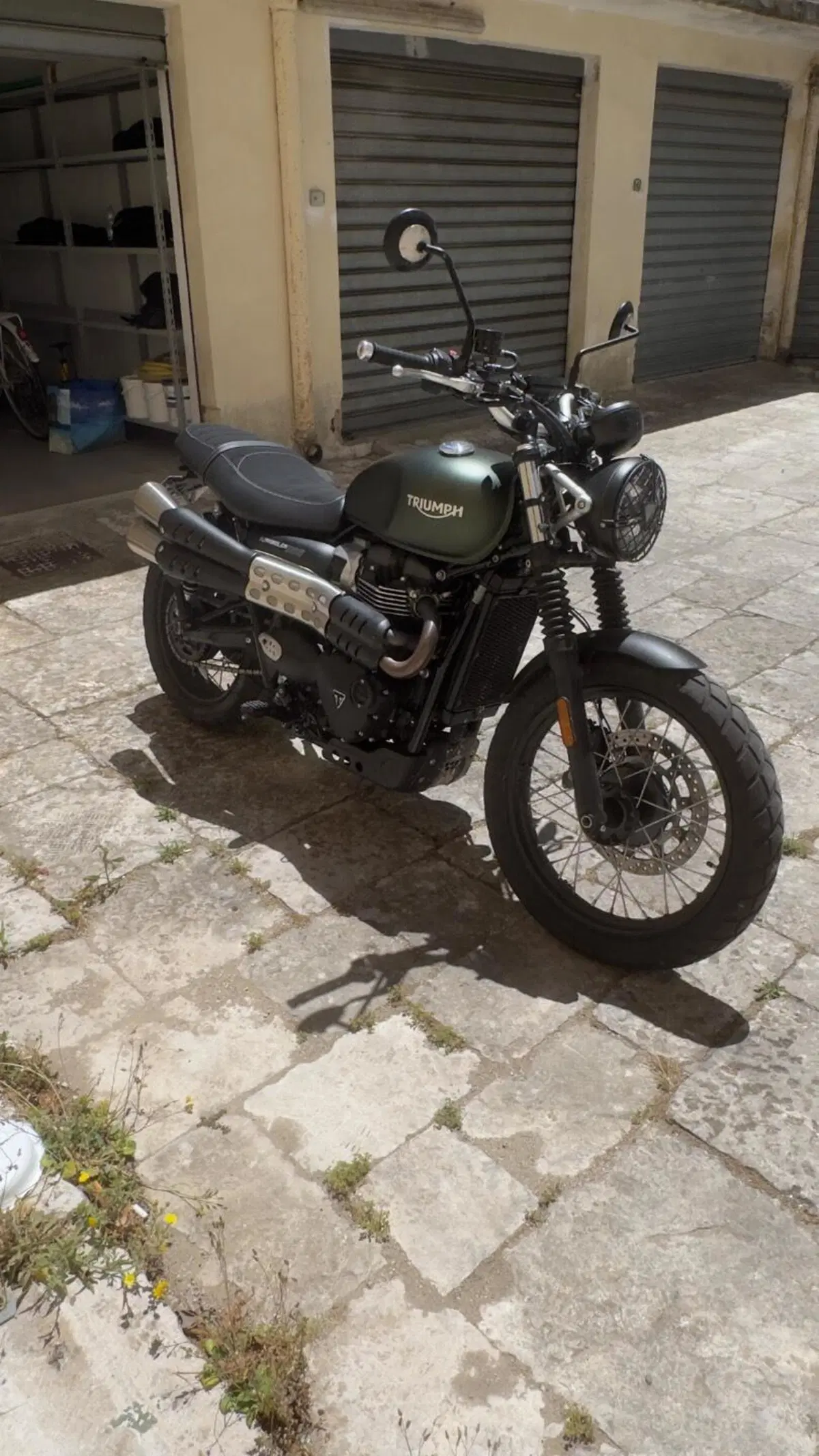 Triumph Scrambler 900 (2023 - 25) (5)