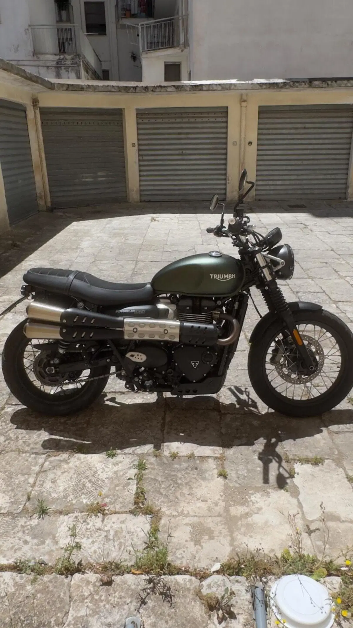 Triumph Scrambler 900 (2023 - 25)