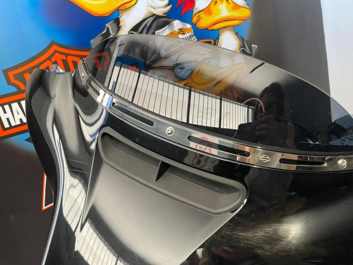 Harley-Davidson 114 Street Glide Special (2019 - 20) - FLHXS (8)