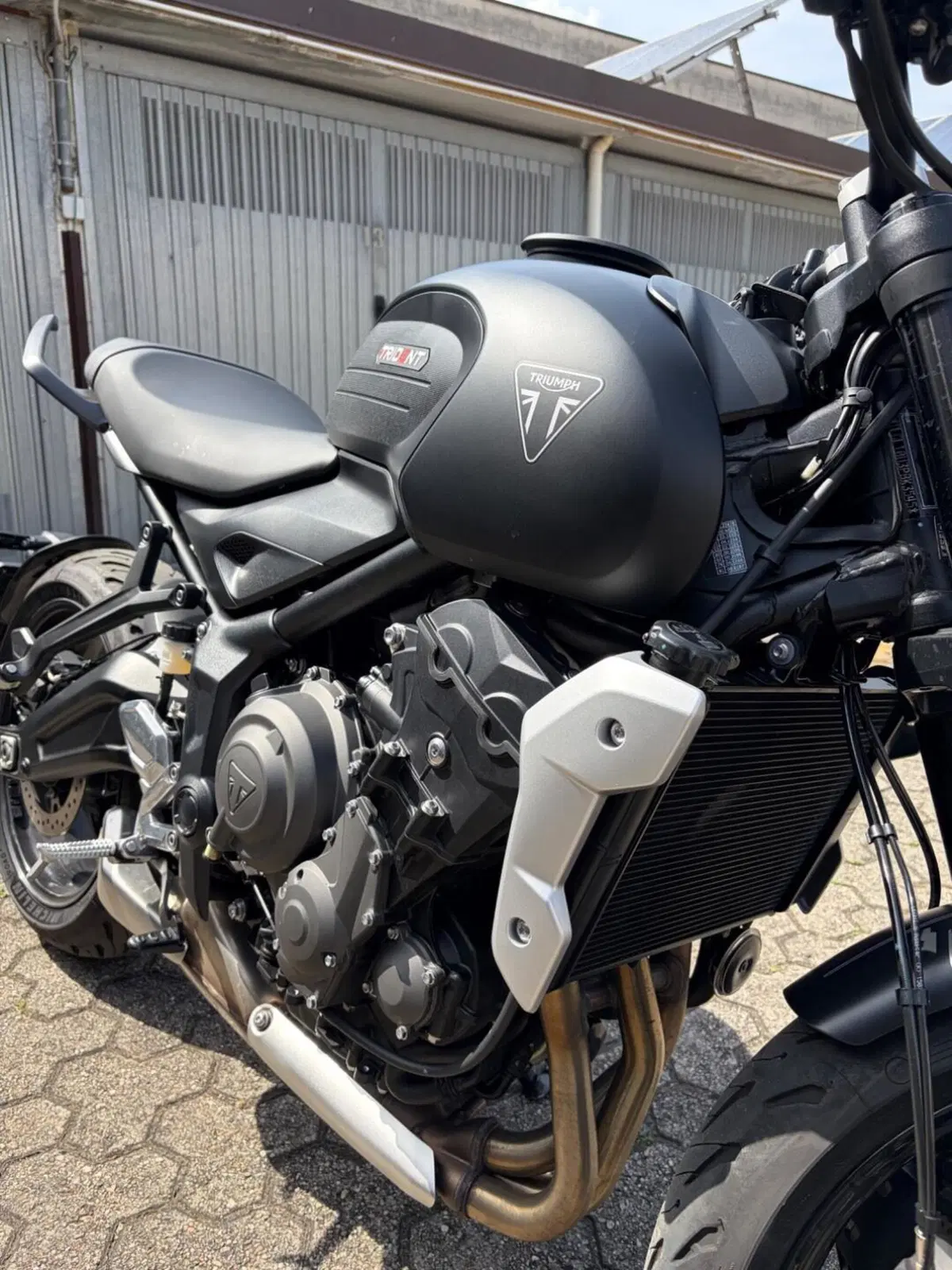 Triumph Trident 660 (2021 - 24) (3)