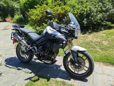 Triumph Tiger 800 ABS (2010 - 14) usata