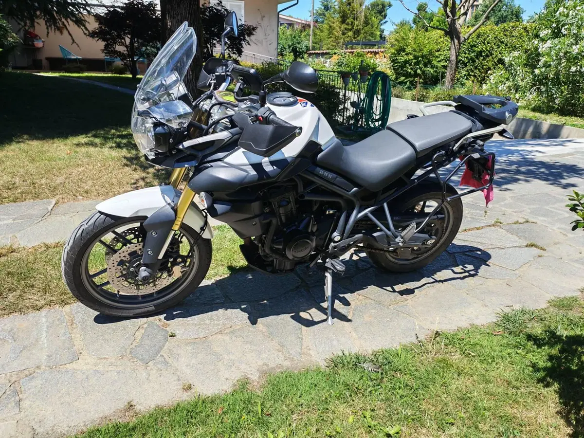 Triumph Tiger 800 ABS (2010 - 14) (3)