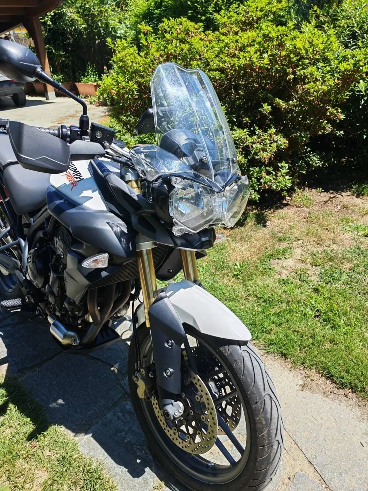 Triumph Tiger 800 ABS (2010 - 14) (4)