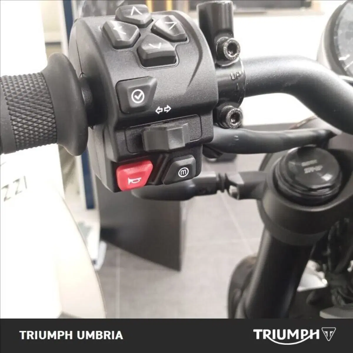 Triumph Trident 660 (2025) (3)