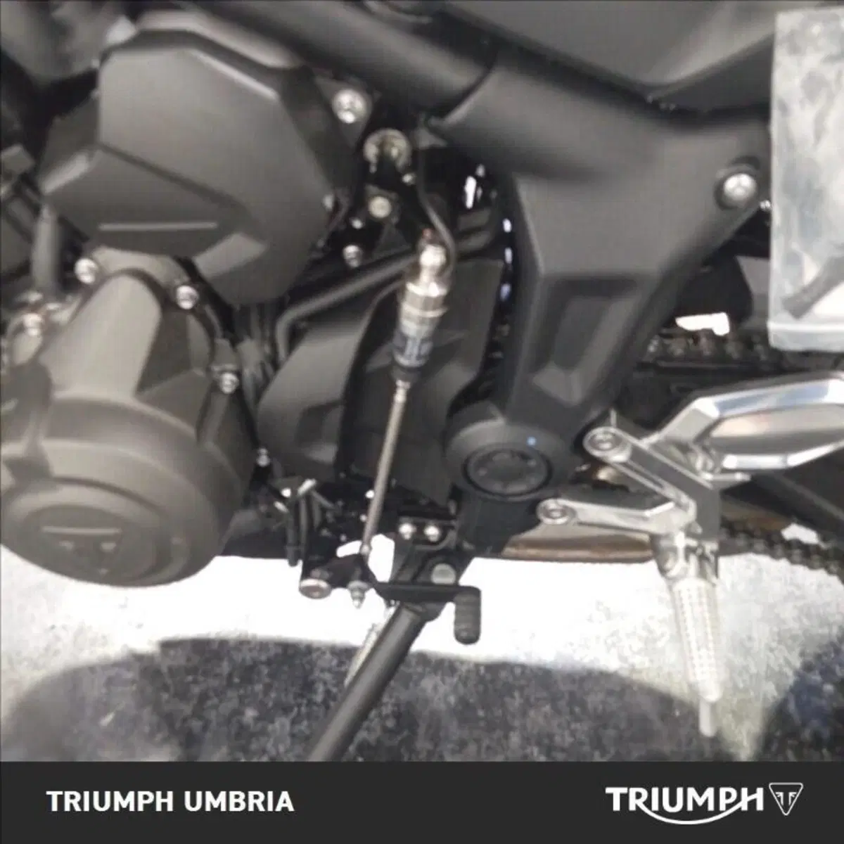Triumph Trident 660 (2025) (4)