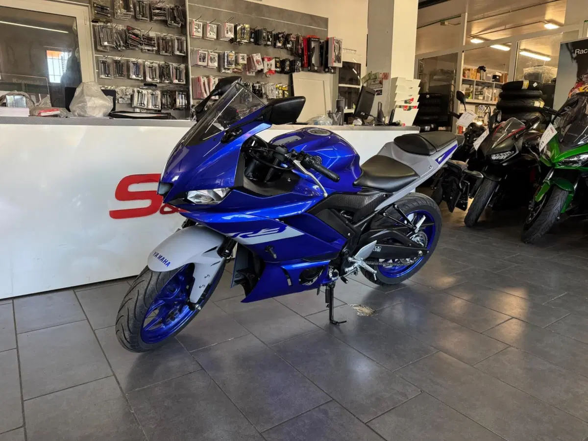 Yamaha YZF R3 (2019 - 20) (2)