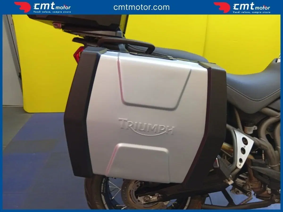 Triumph Tiger 800 XCa (2018 - 20) (8)