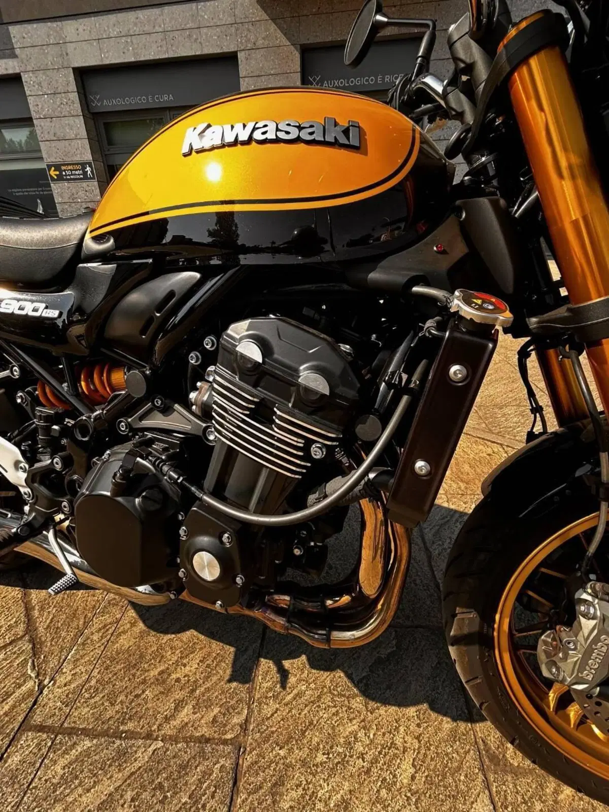 Kawasaki Z 900 RS SE (2022 - 25) (11)
