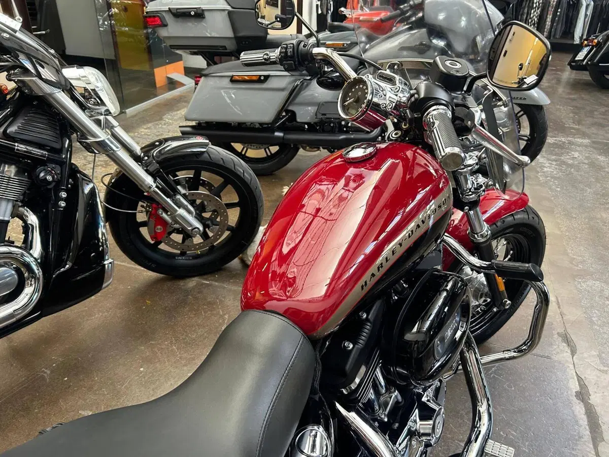 Harley-Davidson 1200 Custom (2018 - 20) - XL1200C (5)