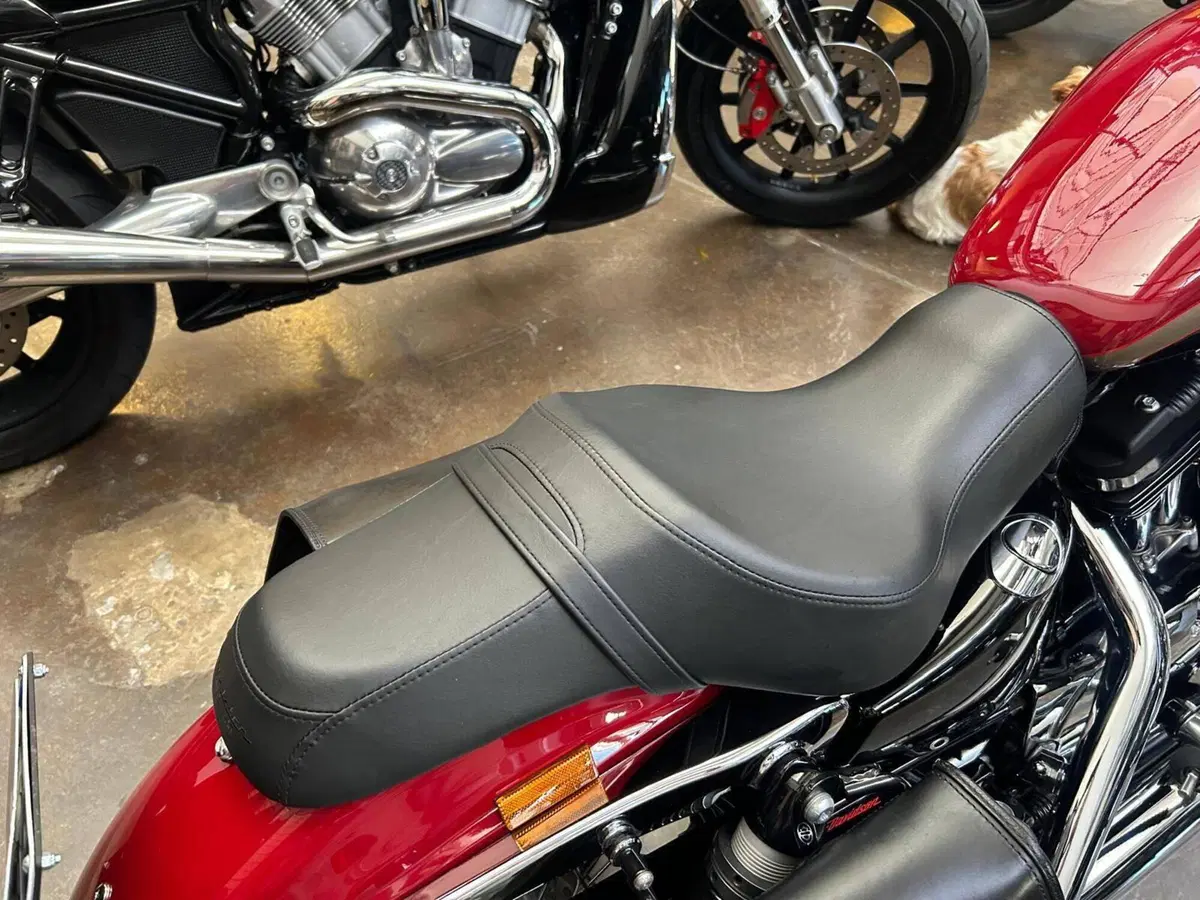 Harley-Davidson 1200 Custom (2018 - 20) - XL1200C (6)