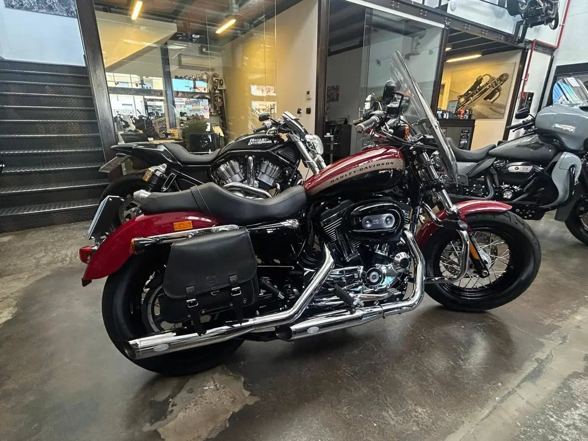 Harley-Davidson 1200 Custom (2018 - 20) - XL1200C (8)
