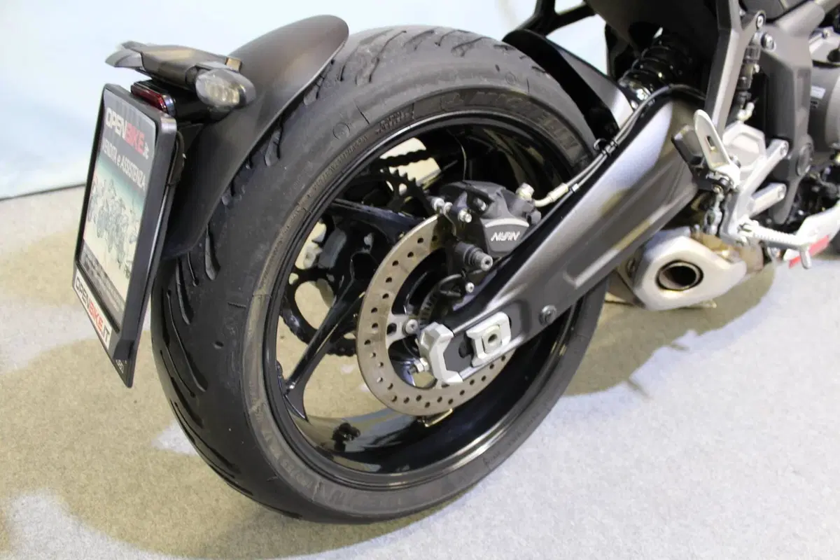 Triumph Trident 660 (2021 - 24) (6)