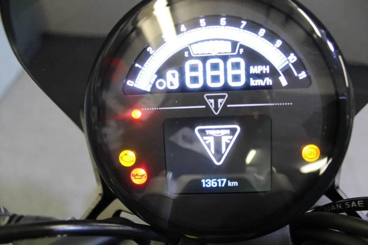 Triumph Trident 660 (2021 - 24) (3)