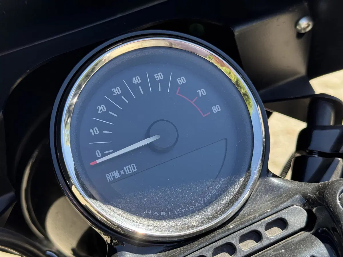 Harley-Davidson 1200 Roadster (2017 - 20) - XL 1200R (3)